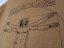 Tričko Leonardo da Vinci Vitruvian Man detail pískového